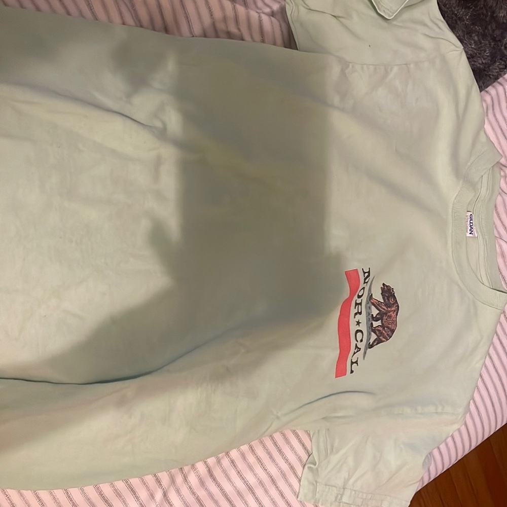 sage green t shirt